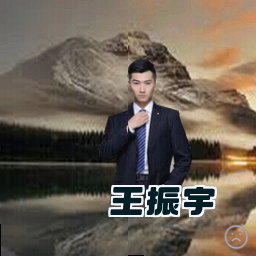 王振宇